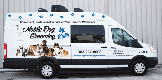 Pet Grooming Service
